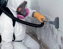 Best Dehumidification Services  in New Market, MD